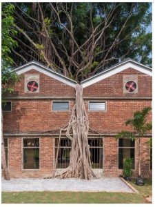 艺术2151 王睿(摩绘设计) 12.19-现代学徒制-运行管理系统