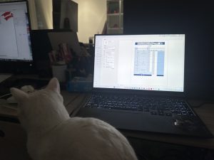 现代学徒制-运行管理系统-艺术2052陆敏一（梦城文化）2023.12.12