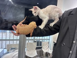 图片[2]-艺术2052陆敏一（梦城文化）2023.12.11-现代学徒制-运行管理系统