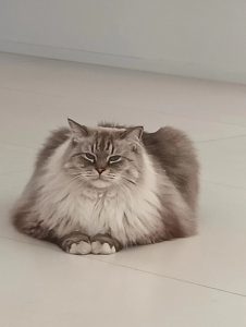 艺术2151 宋博文 (苏州带走软装) 2023.12.25-现代学徒制-运行管理系统