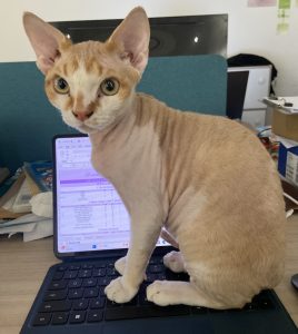 现代学徒制-运行管理系统-艺术2052孔雯(苏州梦城文化有限公司)12.15