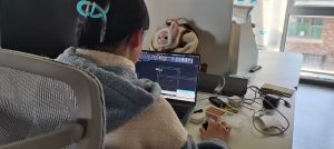 图片[1]-东沃装饰-艺术2051徐依婷-2023.12.7-现代学徒制-运行管理系统