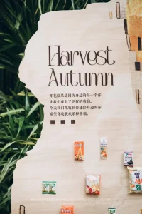 图片[1]-艺术2052孔雯（苏州梦城文化有限公司）12.22-现代学徒制-运行管理系统