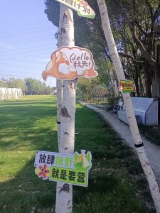 现代学徒制-运行管理系统-带走装饰—艺术2051刘玉玲