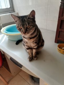 图片[2]-艺术2052周杨（奇谋设计）2023.12.15-现代学徒制-运行管理系统