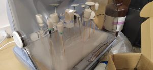 图片[1]-艺术2052 张萍萍（椿芽手作）2023.12.15-现代学徒制-运行管理系统