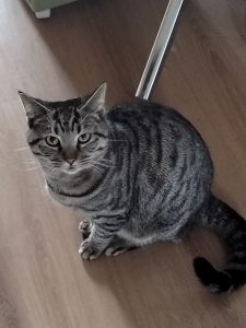 图片[1]-艺术2052-翁子雯（椿芽手作）2023.12.16-现代学徒制-运行管理系统