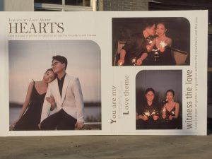 现代学徒制-运行管理系统-百子莲——艺术2052倪海怡2023.12.28