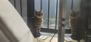 图片[3]-艺术2052 张萍萍（椿芽手作）2023.12.20-现代学徒制-运行管理系统