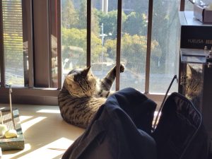 图片[2]-艺术2052-翁子雯（椿芽手作）2023.12.21-现代学徒制-运行管理系统