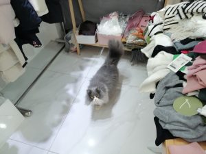 图片[1]-艺术2052王佳君(marry me婚庆)2023.12.21-现代学徒制-运行管理系统