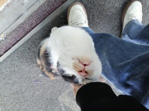 图片[2]-艺术2052王佳君(marry me婚庆)2023.12.22-现代学徒制-运行管理系统