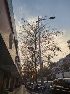 艺术2052彭沛雯（非凡广告）2023.12.22-现代学徒制-运行管理系统