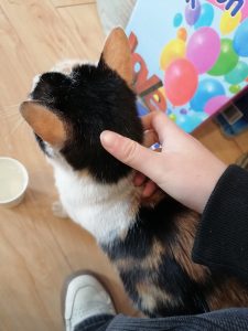 艺术2052王佳君(marry me婚庆)2023.12.23-现代学徒制-运行管理系统