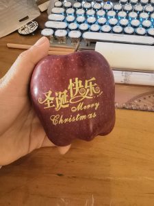 图片[2]-百子莲——艺术2052倪海怡2023.12.27-现代学徒制-运行管理系统