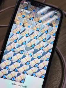 现代学徒制-运行管理系统-艺术2052盛乔（太仓万发珠宝首饰有限公司）12.26