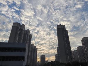 艺术2052彭沛雯(非凡广告)2023.12.26-现代学徒制-运行管理系统