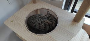 图片[2]-艺术2052 张萍萍（椿芽手作）2023.12.27-现代学徒制-运行管理系统