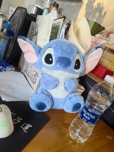 图片[1]-百子莲——艺术2052倪海怡2023.12.27-现代学徒制-运行管理系统