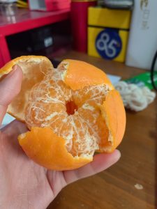 图片[1]-艺术2052彭沛雯（非凡广告）2023.12.28-现代学徒制-运行管理系统