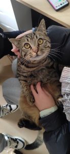 图片[4]-艺术2052 张萍萍（椿芽手作）2023.12.29-现代学徒制-运行管理系统