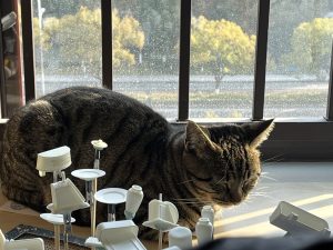 图片[1]-艺术2052刘美洁（椿芽手作）2023.12.20-现代学徒制-运行管理系统