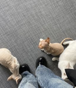 图片[4]-艺术2052孔雯（苏州梦城文化有限公司）12.14-现代学徒制-运行管理系统