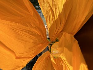 艺术2052陆品棋（艾拉拉婚庆）2023.12.20-现代学徒制-运行管理系统