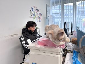 现代学徒制-运行管理系统-艺术2052 陆敏一 梦城文化