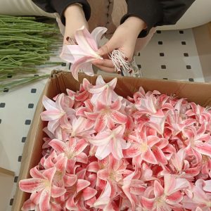 图片[1]-艺术2052王佳君(marry me婚庆)2023.12.17-现代学徒制-运行管理系统