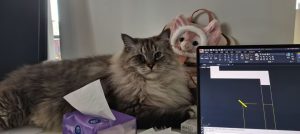 图片[1]-东沃装饰-艺术2051徐依婷-2023.12.14-现代学徒制-运行管理系统