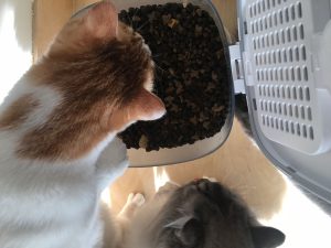 图片[1]-艺术2151——丁莹——带走软装——2023.12.20-现代学徒制-运行管理系统