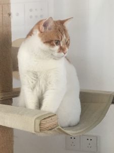 现代学徒制-运行管理系统-艺术2151——丁莹——带走软装——2023.12.21