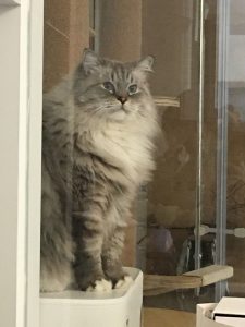 图片[1]-艺术2151——丁莹——带走软装——2023.12.22-现代学徒制-运行管理系统