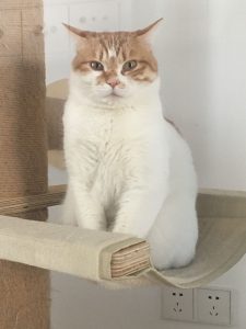 现代学徒制-运行管理系统-艺术2151——丁莹——带走软装——2023.12.25