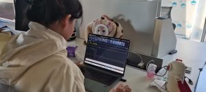 图片[1]-东沃装饰-艺术2051徐依婷-2023.12.8-现代学徒制-运行管理系统