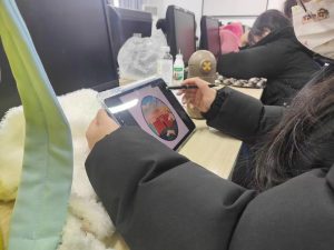 艺术2052吴梦怡（简艺）2023.12.22-现代学徒制-运行管理系统