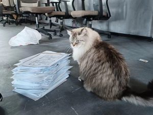 图片[3]-东沃装饰 艺术2051邵文惠 2023.12.8-现代学徒制-运行管理系统