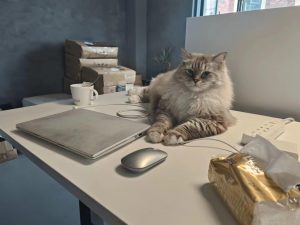 东沃装饰 艺术2051邵文惠 2023.12.14-现代学徒制-运行管理系统