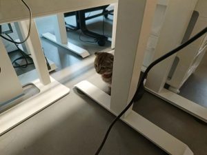 图片[2]-东沃装饰 艺术2051邵文惠 2023.12.15-现代学徒制-运行管理系统