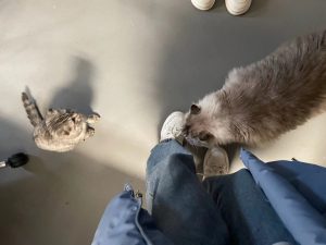 现代学徒制-运行管理系统-艺术2151朱吴歆怡——带走——2023.12.18