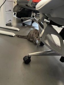 现代学徒制-运行管理系统-艺术2151——丁莹——带走软装——2023.12.18