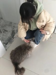 图片[1]-艺术2151——朱吴歆怡——带走——2023.12.20-现代学徒制-运行管理系统