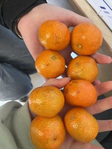 图片[2]-艺术2151——朱吴歆怡——带走——2023.12.20-现代学徒制-运行管理系统