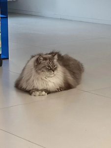 图片[1]-艺术2151 宋博文 （苏州带走软装） 2023.12.21-现代学徒制-运行管理系统