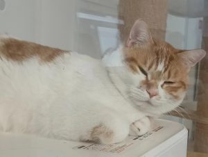 现代学徒制-运行管理系统-艺术2151 宋博文 (苏州带走软装) 2023.12.22