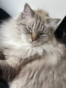 现代学徒制-运行管理系统-艺术2151朱吴歆怡(带走)2023.12.25