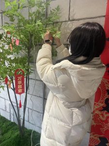 图片[2]-艺术2151——丁莹——带走软装——2023.12.28-现代学徒制-运行管理系统