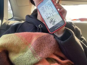 图片[3]-艺术2152俞霞君梦城文化2024.01.02-现代学徒制-运行管理系统