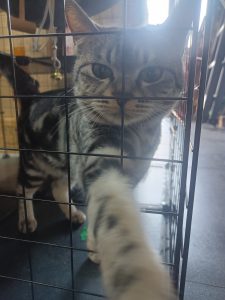 图片[3]-艺术2152梁思雨 奇谋设计 1.2-现代学徒制-运行管理系统